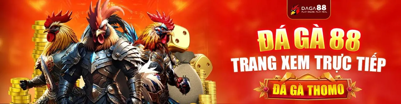 Hình ảnh chính sách bảo mật 247asia trang chủ chính thức